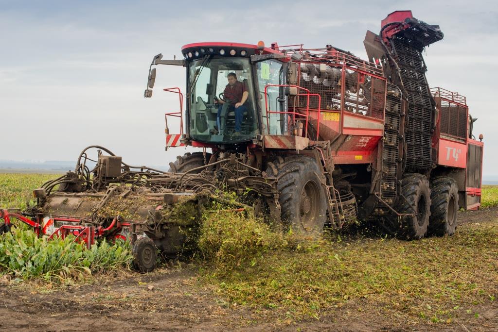 Західноукраїнський чемпіонат по насінню кукурудзи та цукрового буряка 2021