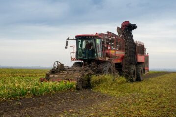 Західноукраїнський чемпіонат по насінню кукурудзи та цукрового буряка 2021