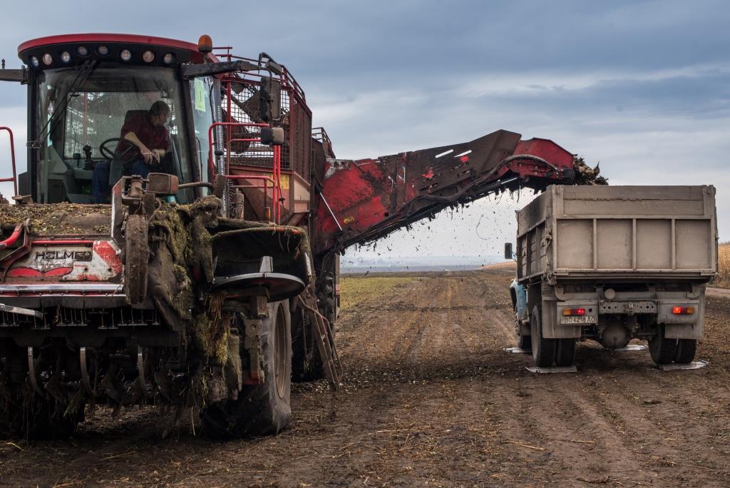 Західноукраїнський чемпіонат по насінню кукурудзи та цукрового буряка 2021