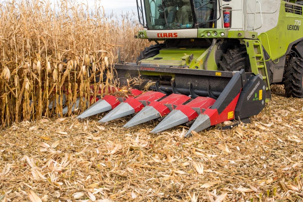 Західноукраїнський чемпіонат по насінню кукурудзи та цукрового буряка 2021