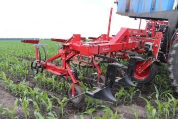 Унікальна технологія проєкту FreeFarm забезпечує живлення та вегетацію рослин на вищому рівні