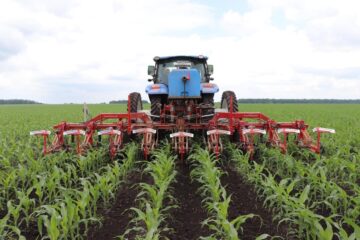 Унікальна технологія проєкту FreeFarm забезпечує живлення та вегетацію рослин на вищому рівні