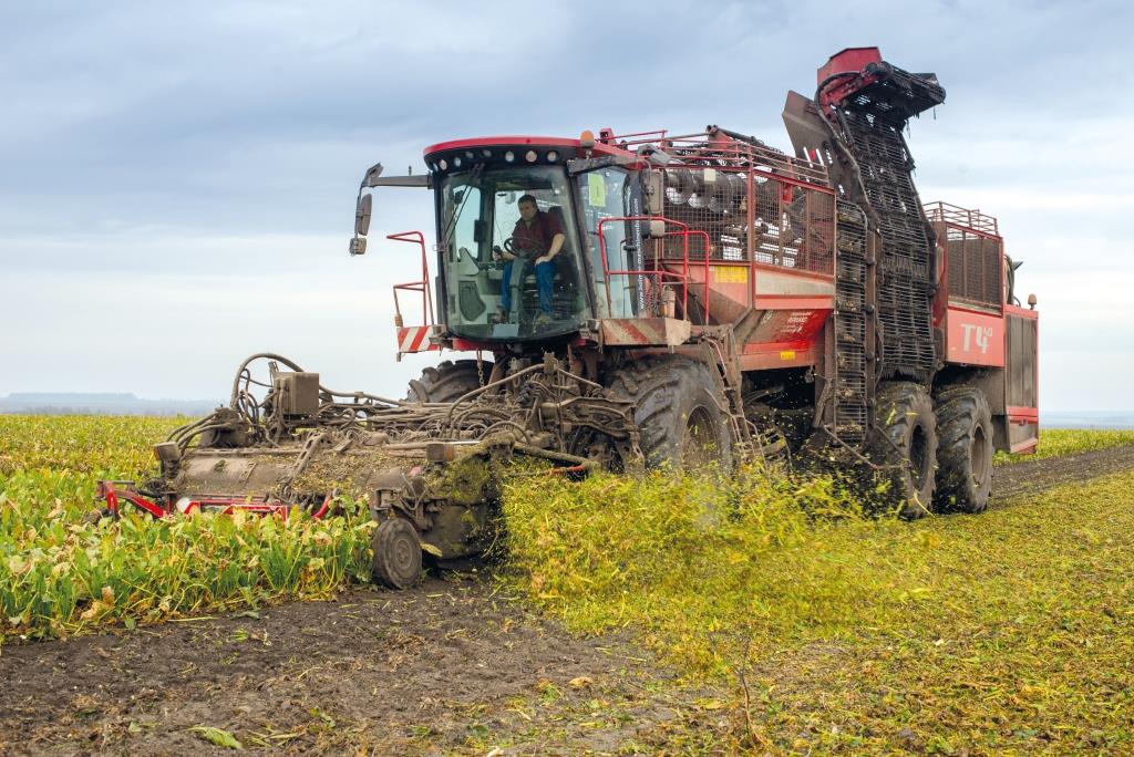 VII Західноукраїнський чемпіонат на кращий гібрид кукурудзи та цукрового буряку: лідерів визначено