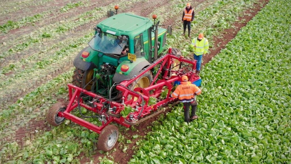 Британські розробники створили робот для збирання салату