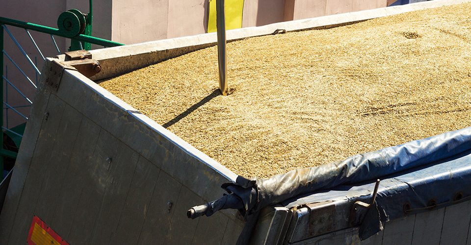 Україна з початку війни уп'ятеро наростила експорт зернових сухопутними шляхами