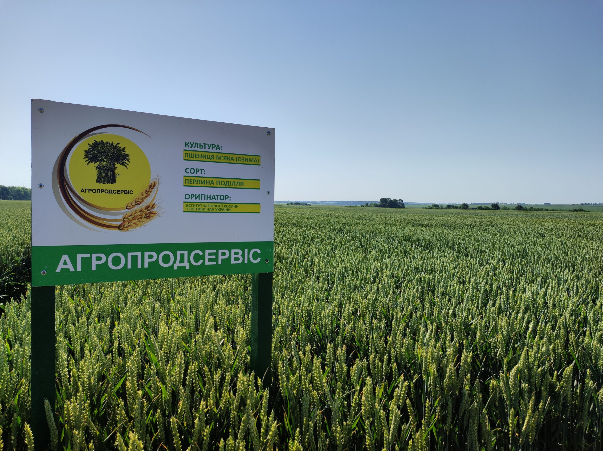 перлина поділля