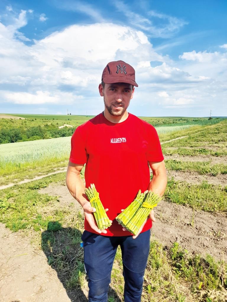 Перспективна спаржа: досвід вирощування у ФГ «Здоровий урожай»
