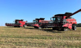 Економіка перемоги: чому аграрії обирають комбайни Case IH Axial-Flow