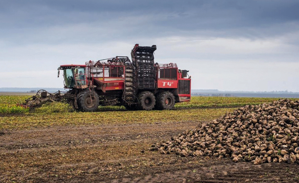 Чи буде Україна з цукром? Коментар експерта