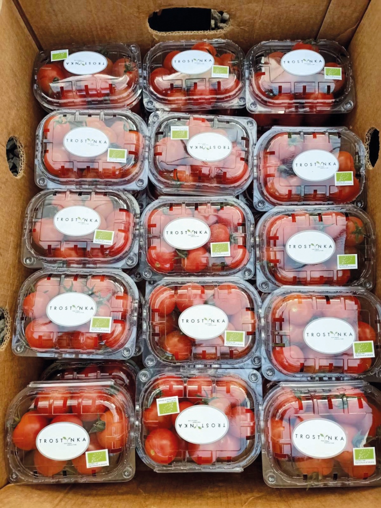 Андрій Вдовиченко про органічну діяльність ПСП «Ім. Т.Г. Шевченка» до повномасштабної війни та в реаліях сьогодення