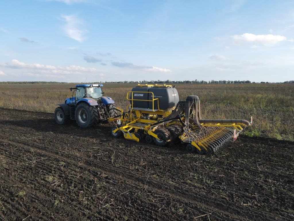 Посів пшениці по соняшнику – готувати ґрунт чи ні? Досвід аграрія