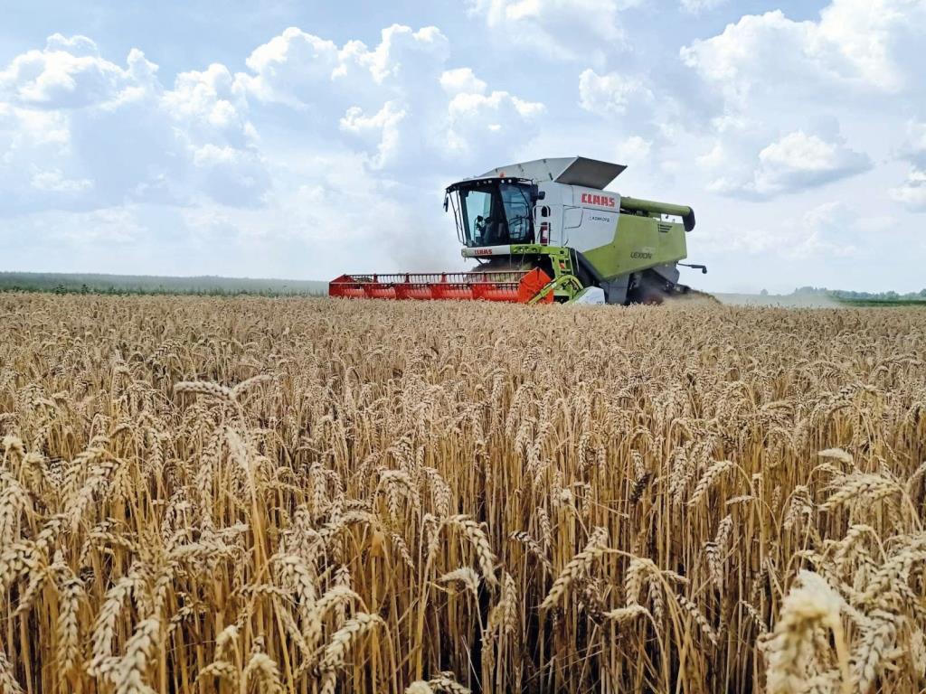 Андрій Вдовиченко про органічну діяльність ПСП «Ім. Т.Г. Шевченка» до повномасштабної війни та в реаліях сьогодення