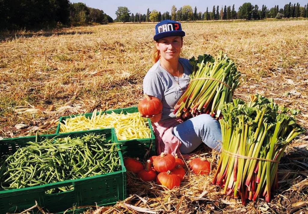 Органічна ферма «Осьо»: екологічно чисті продукти під час війни