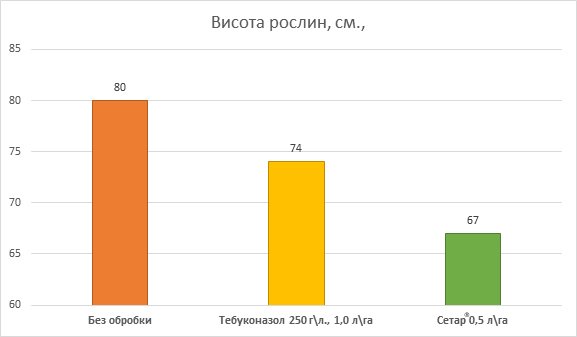Сетар®: регуляція росту та фунгіцидний захист на ріпаку навесні – ключові аспекти