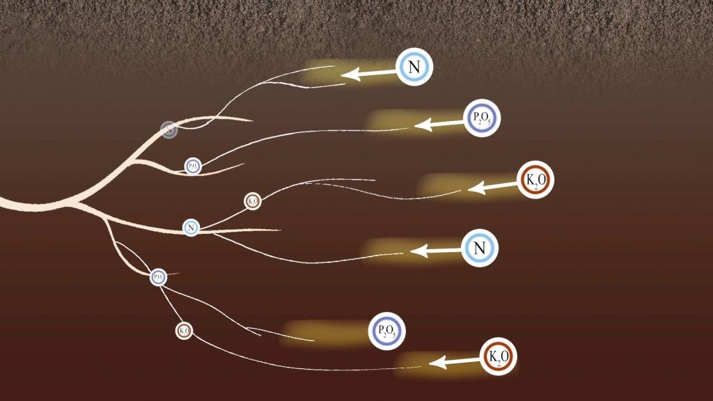 Як підвищити ефективність мінерального живлення!
