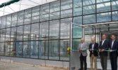 DSV продовжує інвестувати в селекцію рослин