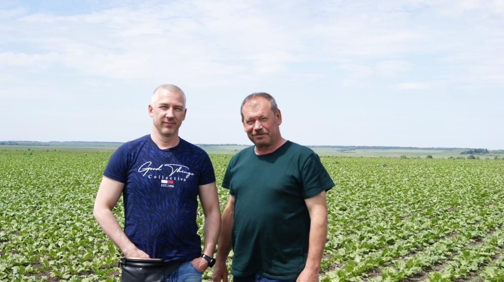 Цукровий буряк: від сівби – до збирання. “Волочиськ-Агро” ділиться тонкощами вирощування культури