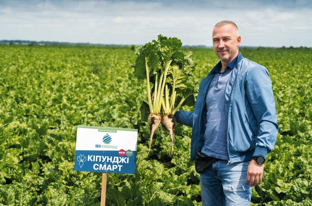 Цукровий буряк: від сівби – до збирання. ТОВ «Волочиськ-Агро»: «Погодні умови червня сприяли росту та розвитку коренеплодів»