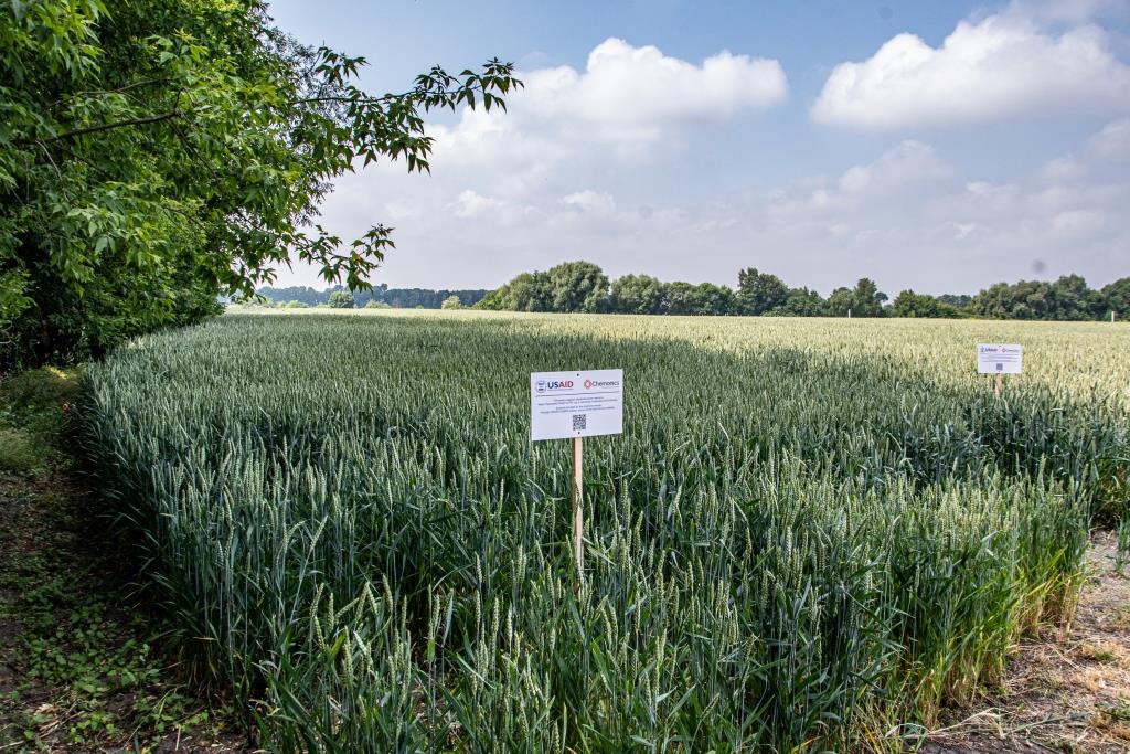 Програма USAID АГРО надасть 12 000 тонн мінеральних добрив для українських агровиробників