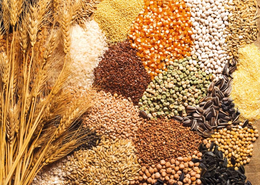 ЄС відкрив повноцінний доступ для українського насіння соняшника, ріпаку, сої та буряків