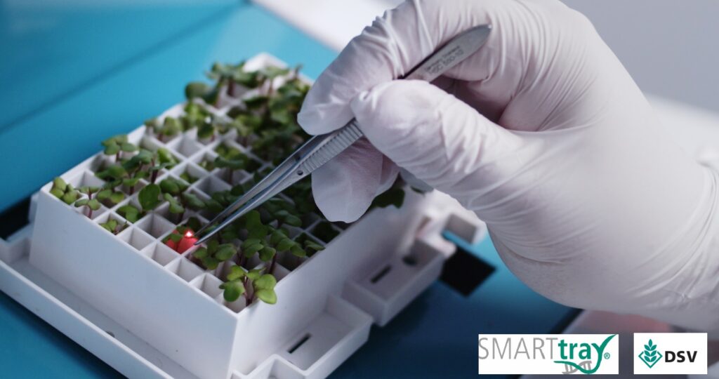 Deutsche Saatveredelung AG (DSV) стали співвласниками старт-ап-компанії SMARTtray®GmbH