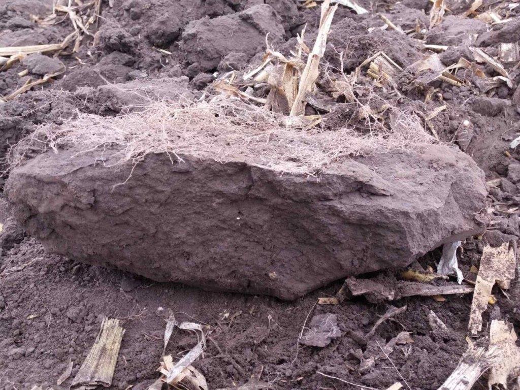 Який основний обробіток обрати українському аграрію в нинішніх умовах?