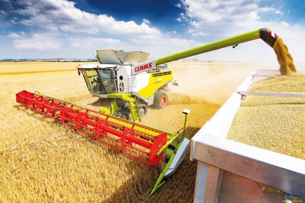 Україна жнивує: проміжні результати та прогноз цін