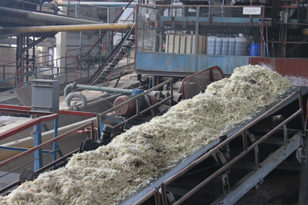 На Тернопільщині після п’ятирічної перерви запрацював цукровий завод