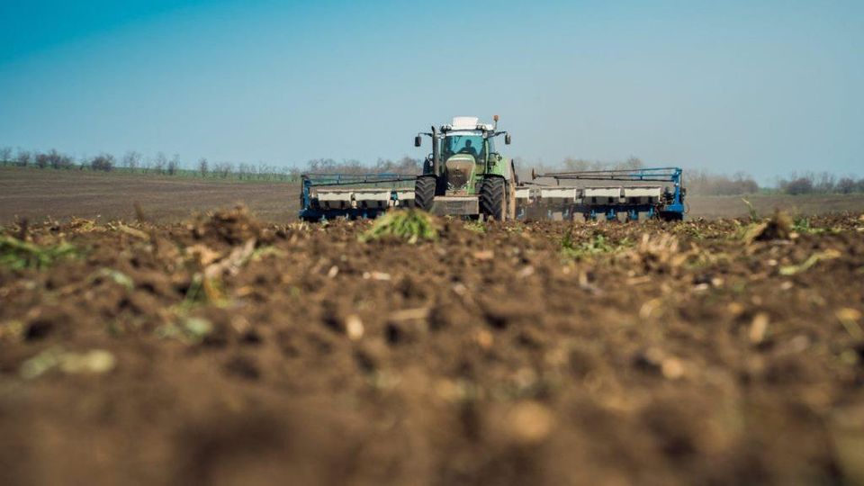 На Харківщині аграрії зібрали зернові та зернобобові культури на 77% площ