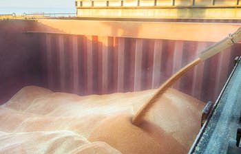 В ДАР розпочався прийом заявок на включення в списки верифікованих експортерів за новим критерієм щодо валютної виручки