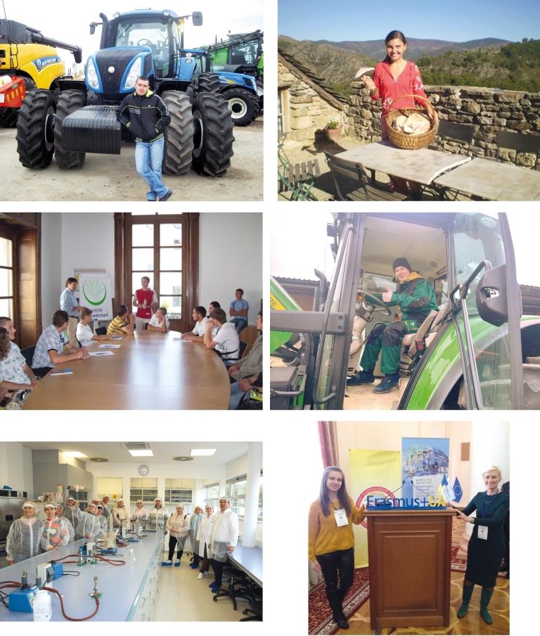 Якісні та професійні фахівці аграрної галузі – запорука продовольчої безпеки України