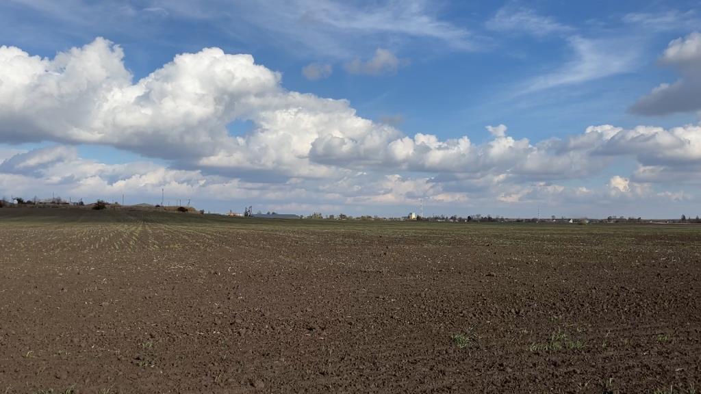 Рівне поле після основного обробітку? Так