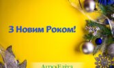 З Новим Роком!
