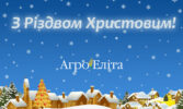 З Різдвом Христовим!