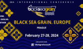 BLACK SEA GRAIN. EUROPE – 2024