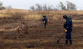 На розмінованих землях України вже можна виростити 1 млн т зерна