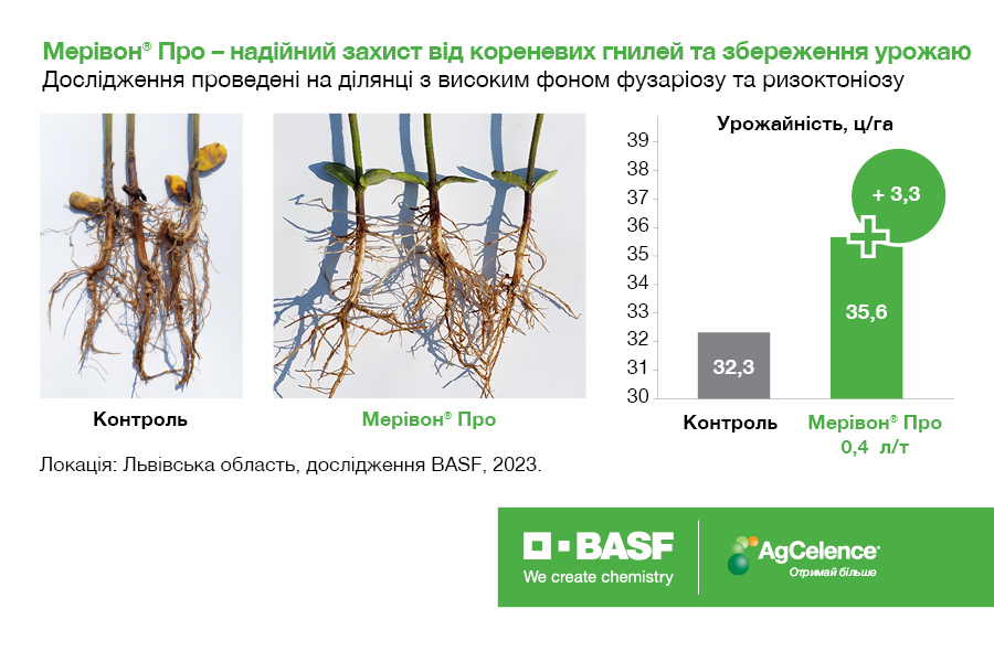 Успіх сої починається із захисту насіння: відкрийте для себе Мерівон® Про від BASF Agricultural Solutions