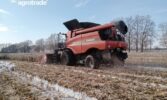 Agrotrade Group відновили жнива кукурудзи на Сумщині