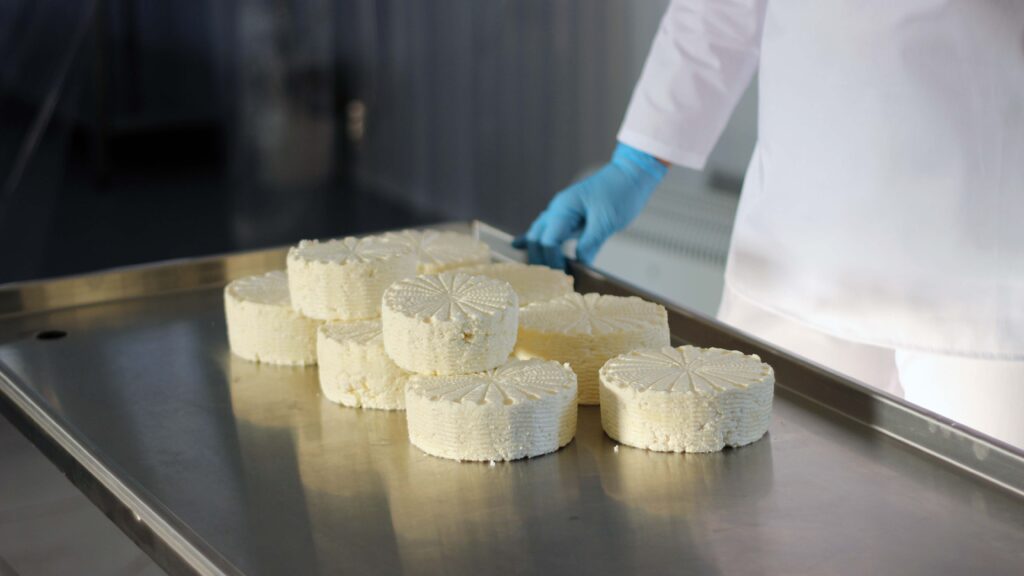 Проєкт «Сімейні молочні ферми» за підтримки Швейцарії у 2024 році реалізує навчальні можливості для виробників та переробників молока