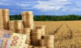 Закон України «Про аграрні ноти» почне діяти з наступного року