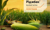 Corteva Agriscience представляє новий інсектицид Ріджбек® для захисту основних культур