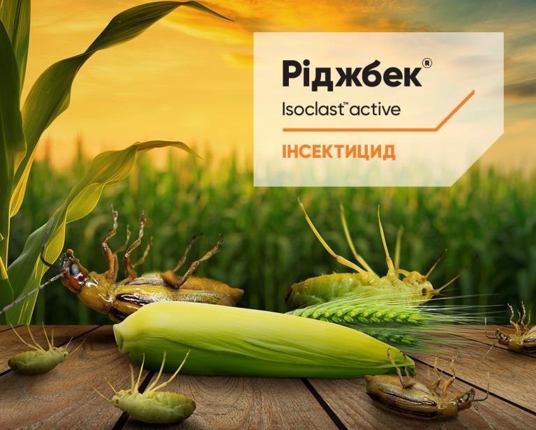 Corteva Agriscience представляє новий інсектицид Ріджбек® для захисту основних культур