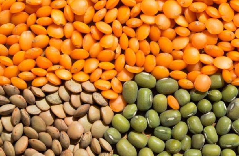 Компанія «Прометей» вперше посіяла сочевицю