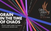 Grain Ukraine 2024