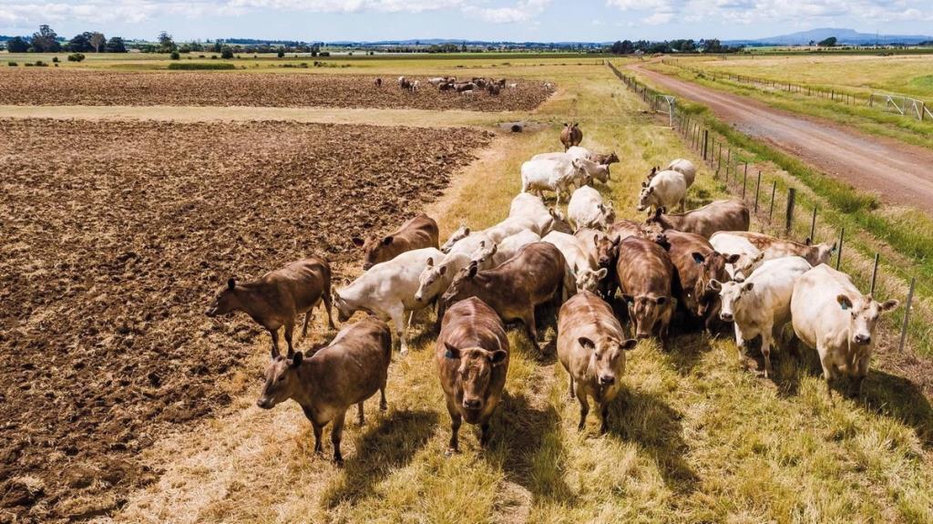 Сучасний погляд на агросектор в Австралії