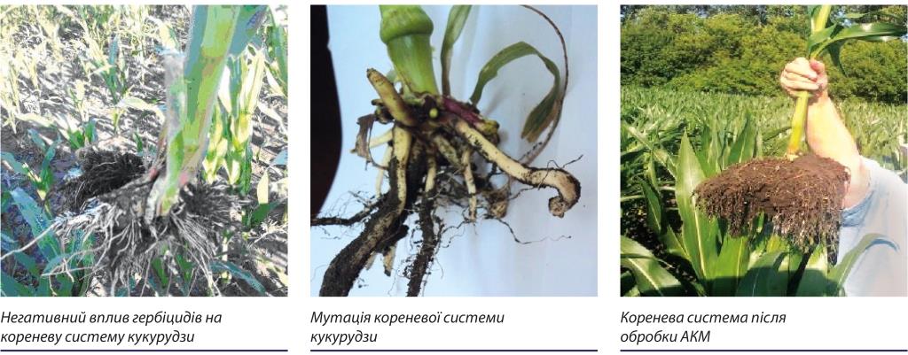 АКМ – це невід’ємна складова майбутнього врожаю. Швидка допомога для рослин
