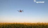 У Групі АГРОТРЕЙД обробляють ріпак за допомогою дронів