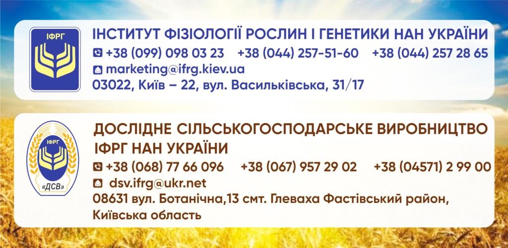 Київські пшениці – хліб нашої перемоги!