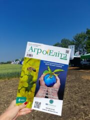 День поля "Агропазли": технології вирощування пшениці, ячменю та ріпаку