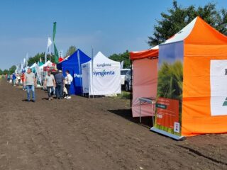 День поля "Агропазли": технології вирощування пшениці, ячменю та ріпаку